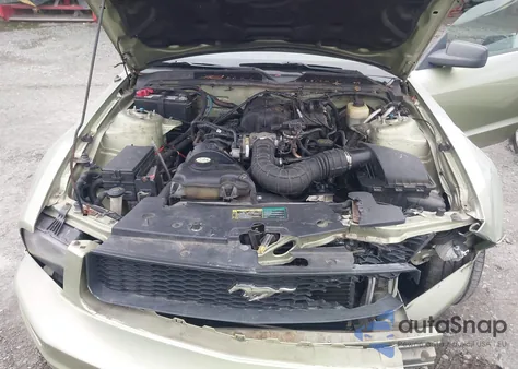 2005 Ford Mustang V6 Deluxe/V6 Premium from USA, damaged, VIN 1ZVFT80N455222432